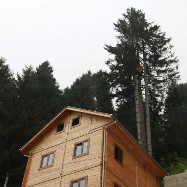 İnka Apart House, hotel en Ayder