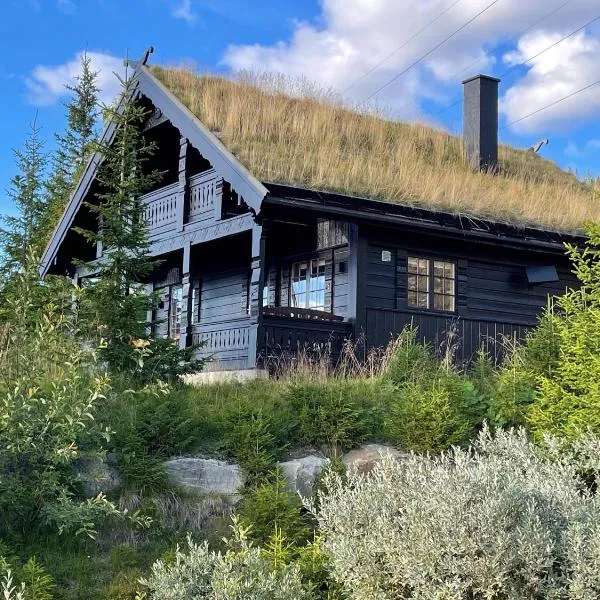 Ski and Bike-In and Out, hotel en Hafjell