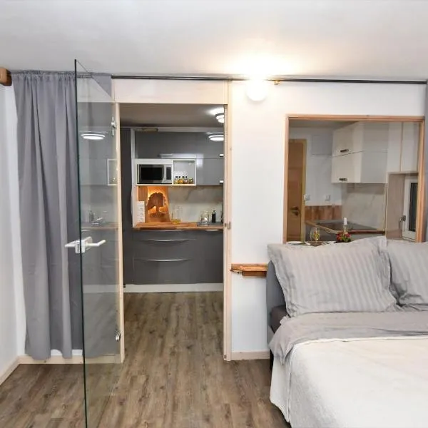 Oak apartment, hotel in Březnice