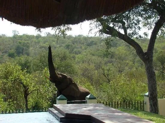 Muweti Bush Lodge, ξενοδοχείο σε Grietjie Game Reserve