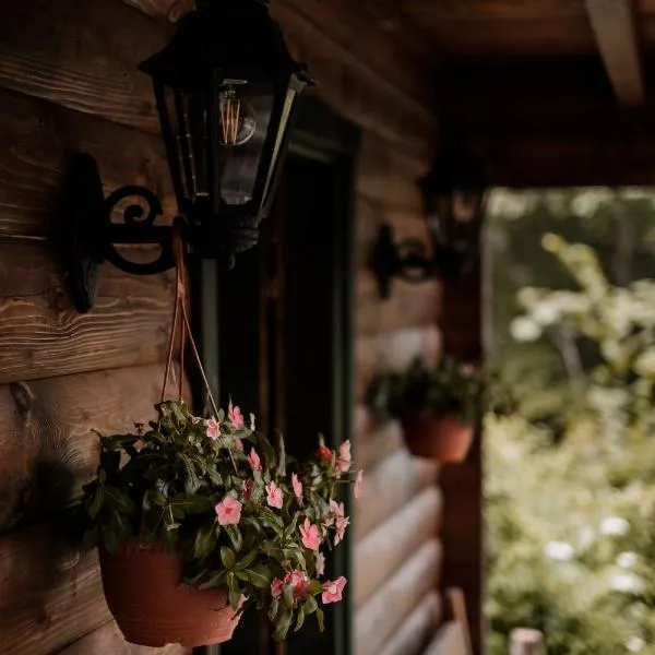 Black River, hotel in Kolašin