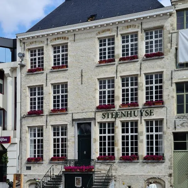 Hotel Restaurant Steenhuyse, hotel in Oudenaarde