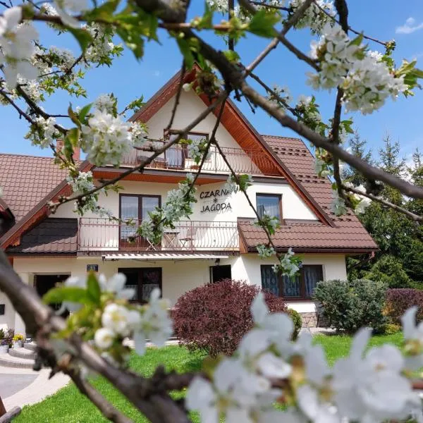 Czarna Jagoda: Czarna Góra şehrinde bir otel