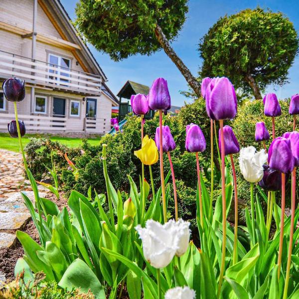 Nice Home In Darlowo With 2 Bedrooms And Wifi