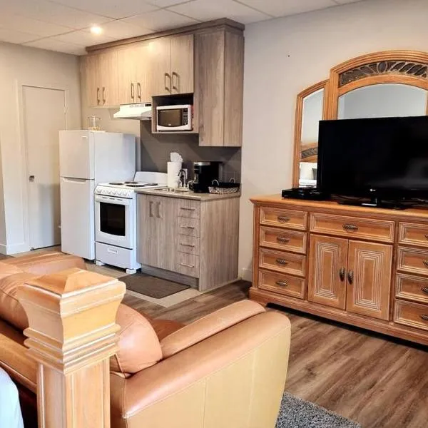 Cozy Spacious 1-BDR Studio #8. FREE Parking, hôtel à Gatineau