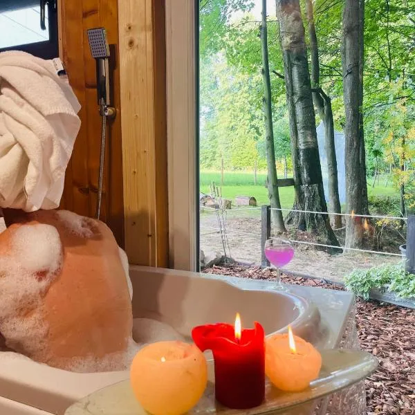 Romantyczna Chatka, Hotel in Pisarzowice