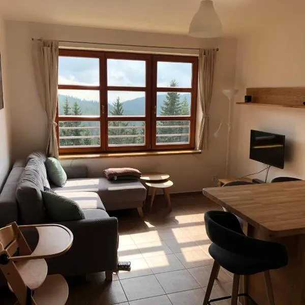 Cihlarka 301, hotel in Cerny Dul