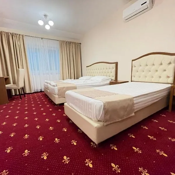 Hostel Paltinis, hotel in Hunedoara