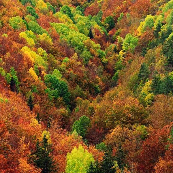 Casita Pelopin, hôtel à Frajén