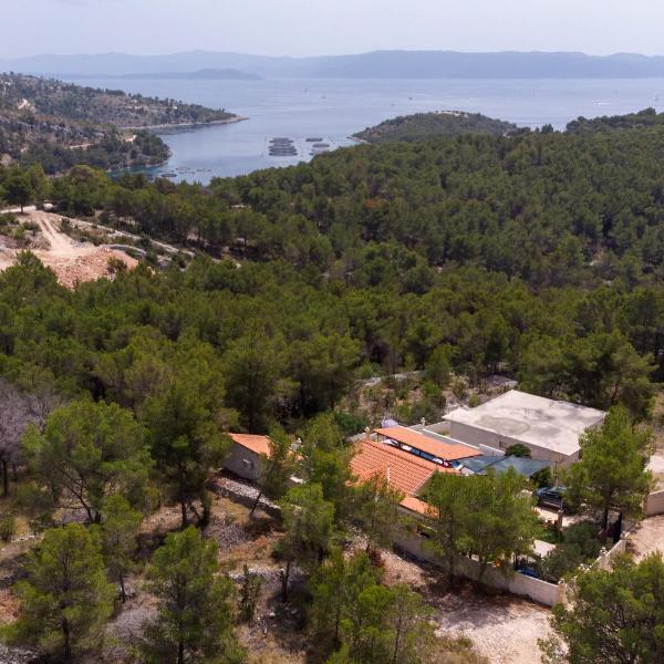Family friendly house with a swimming pool Cove Koramaslinova - Koromaslinova, Brac - 15479