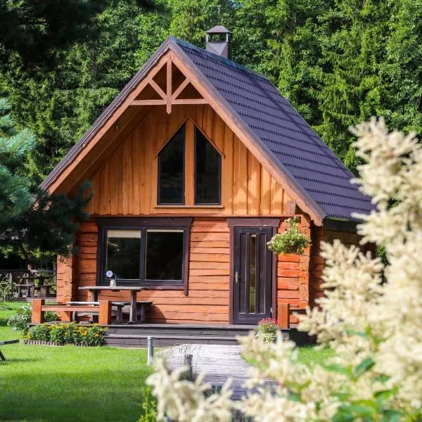 Holandiesi Holiday House、Ķesterciemsのホテル