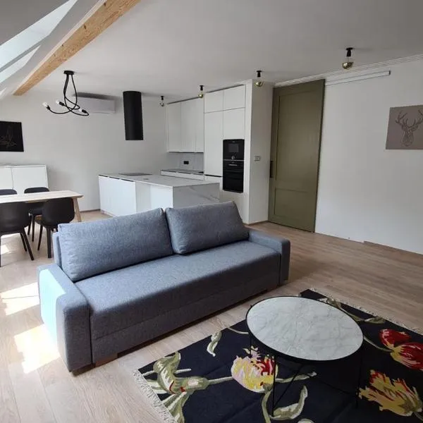 The Gusto apartmán, hotel en Chomutov