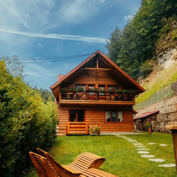 Casa Cheile Dâmbovicioarei - Cabana 2, hotel in Dîmbovicioara