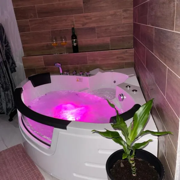 Pink House Apartments, hotel in Jagodina