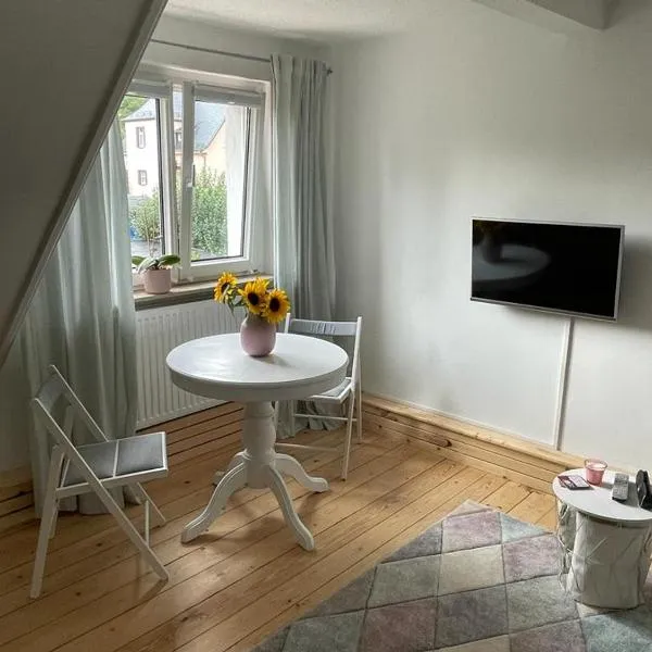 Apartment am HohenRand Dresden Leubnitz, hotel v Drážďanech