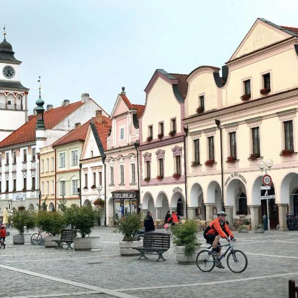 Hotel Zlatá hvězda, hotel v destinaci Třeboň