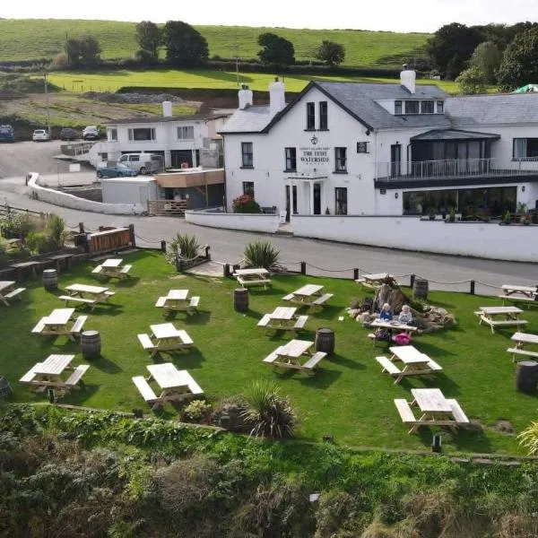 The Teifi Waterside Hotel, מלון בקרדיגן
