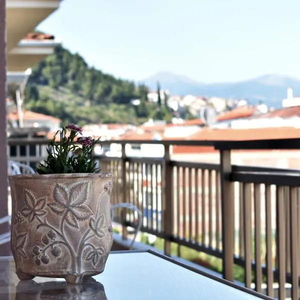 Κεντρικό και ευρύχωρο οροφοδιαμέρισμα, ξενοδοχείο στην Καστοριά