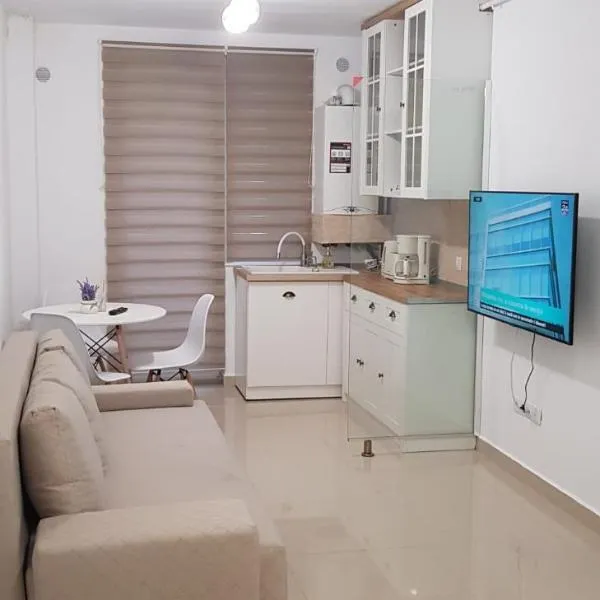 Apartament Vila Brana Sibiu Selimbar str Nicolae Brana Nr 63 Ap 4, ξενοδοχείο σε Selimbar