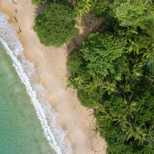 Our Beachfront Bungalow, hotell sihtkohas Punta Uva