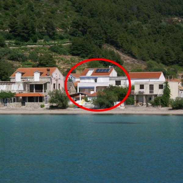 Rooms by the sea Zuljana, Peljesac - 3163