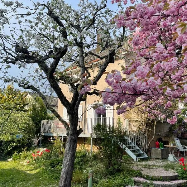 au jardin, hotel in Zuchwil