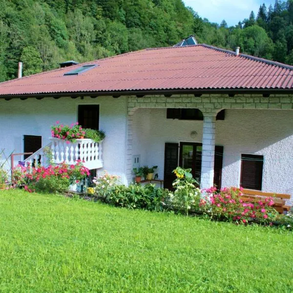 Rooms with shared kitchen Zver, great for hikers, hotel a Hudajužna