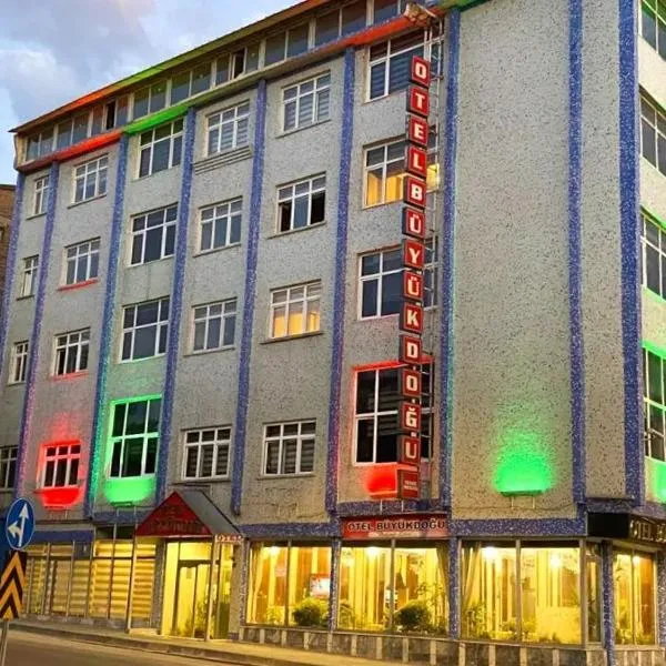 Otel Büyük Doğu, hotel in Erzurum