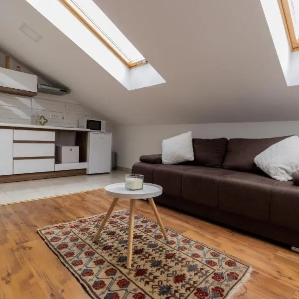 Hill apartman - MAKSIMIR Rebro, hotel in Zagreb