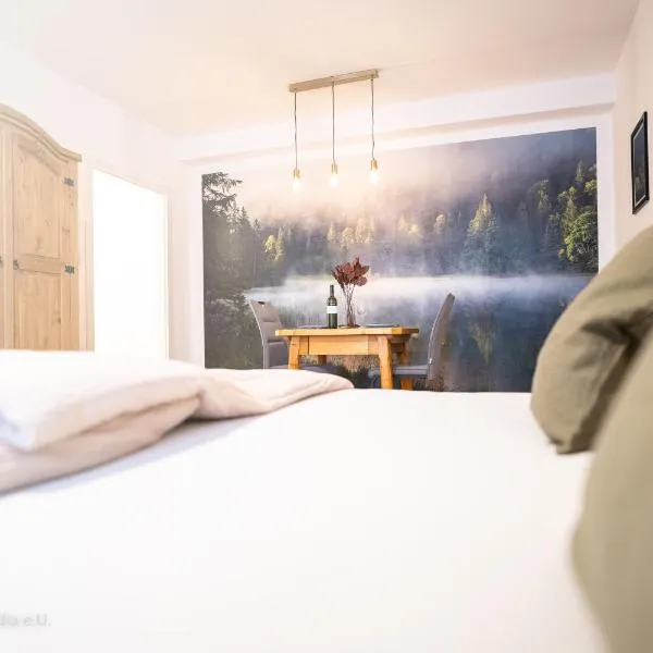 Ferienwohnung Somnia - Altstadt Gmunden, hotel in Gmunden