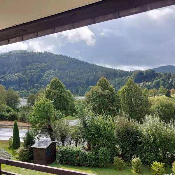 Ferienwohnung Am See, Hotel in Winterberg