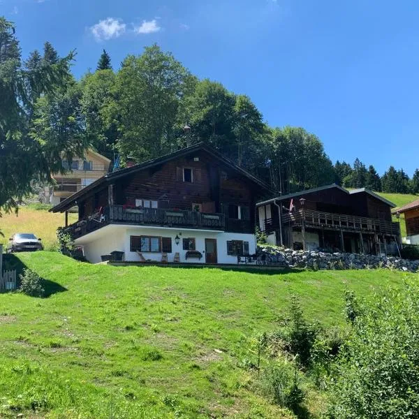 Ferienwohnungen im Blockhaus Metzler, hotel v destinaci Schwarzenberg im Bregenzerwald