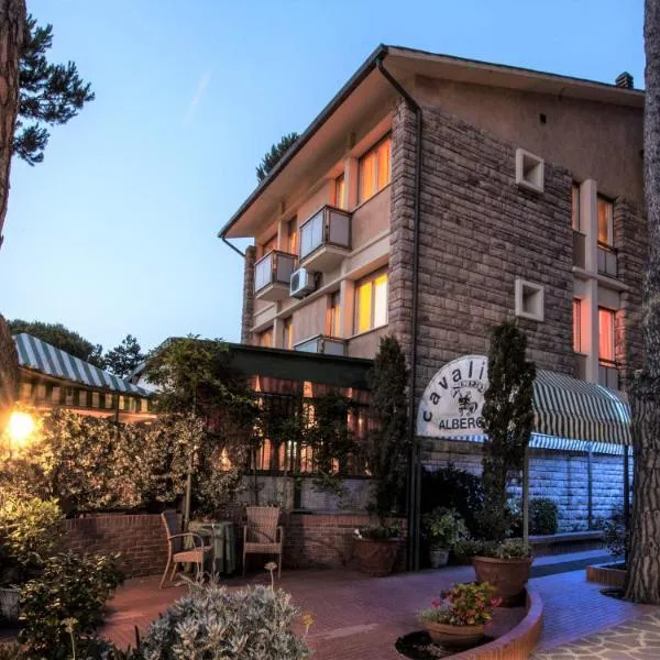 Hotel Il Cavaliere Nero, hotel in Tirrenia