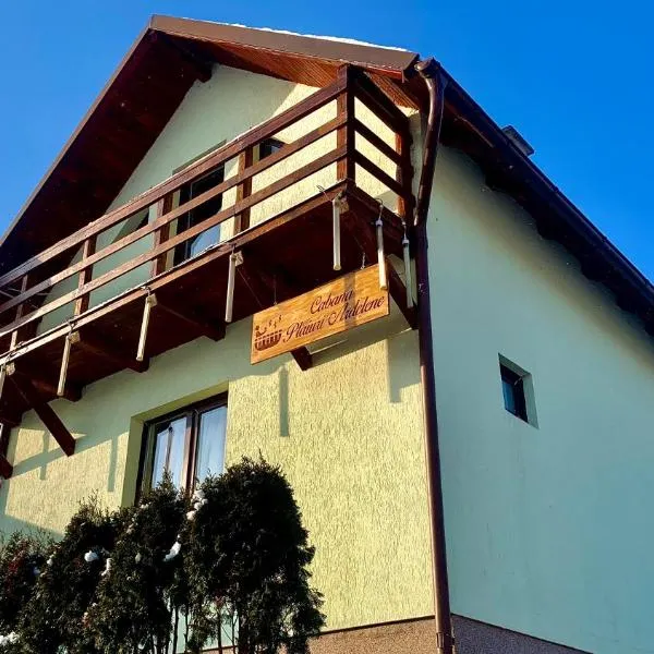 Cabana Plaiuri Ardelene, hotel in Petreştii de Jos