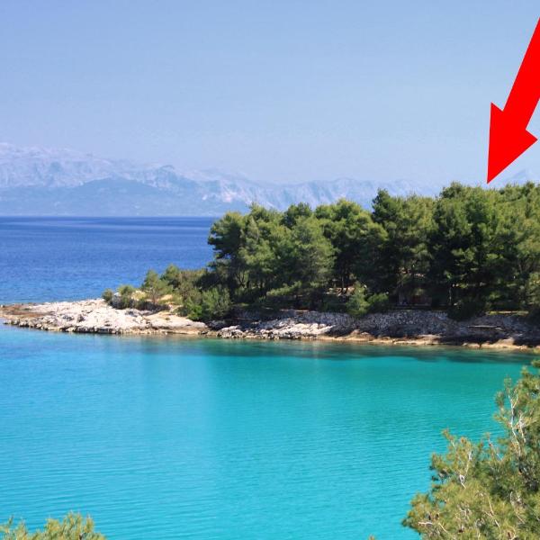 Seaside holiday house Cove Grebisce, Hvar - 3375