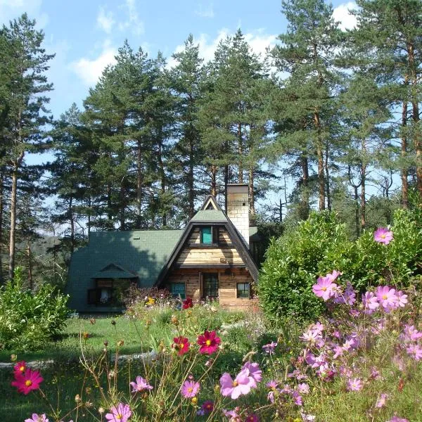 Zeleni Čardaci etno apartmani, hotel din Kaludjerske Bare