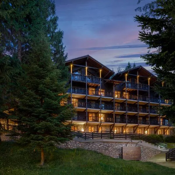 Ana Hotels Bradul Poiana Brasov, מלון בפויאנה ברשוב