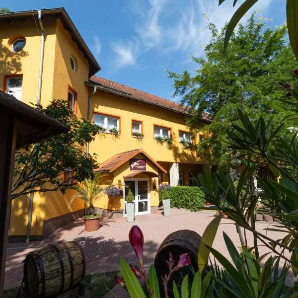 Hotel-Restaurant Weinberg, ξενοδοχείο σε Artern