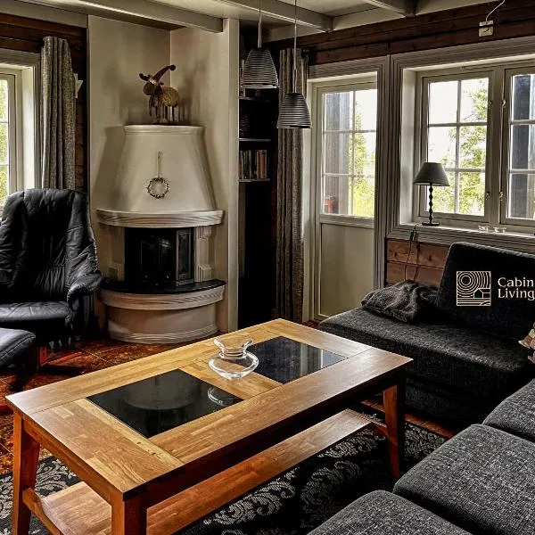 Great apartment in Trysil, ski inout, wifi, sauna, hotel en Trysil