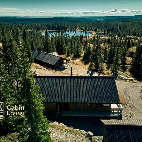 New large cabin Ski in out Sjusjøen & sauna, Hotel in Ringsaker