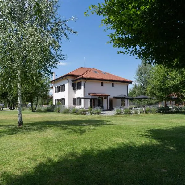 Pensiunea Negoiu, hotel Felsőporumbákon