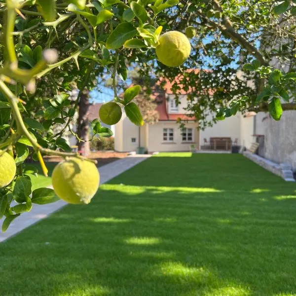 Das "Sommerhaus" in Bingen am Rhein, hotel v destinaci Bingen am Rhein
