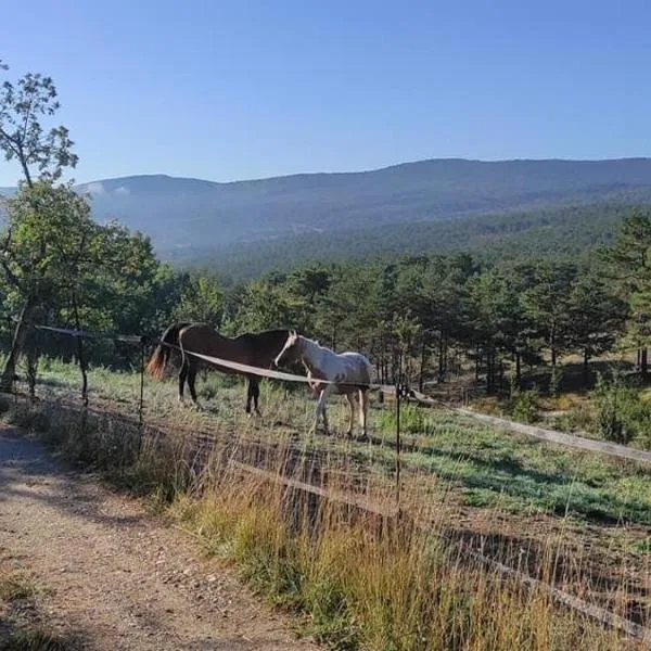 Domaine du Cruvelet Grand gite, hotel in Trigance
