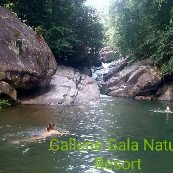 Gallene Gala Nature Resort, hotell Kitulgalas