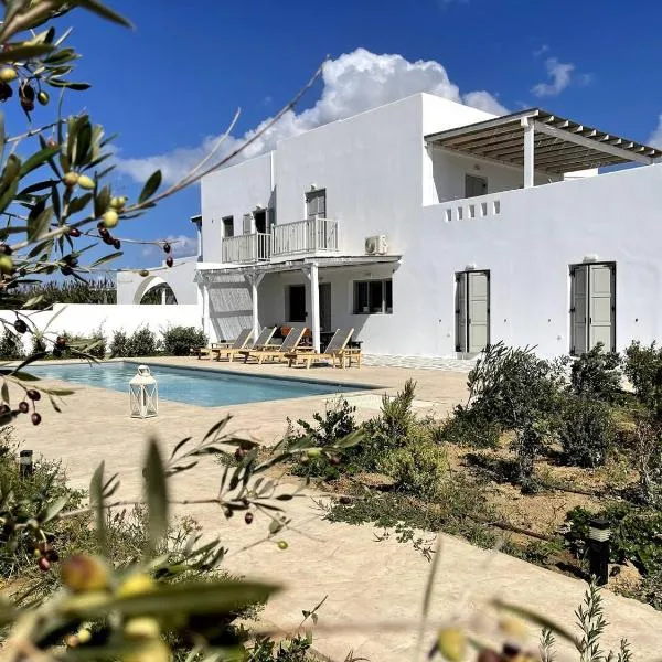 White Pearl Villa Naxos with Private Swimming Pool，位于纳克索乔拉的酒店