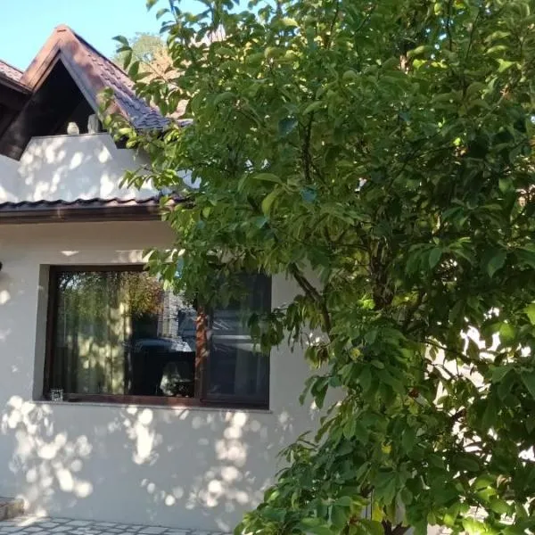 Iasskii Torg - La belle epoque、ヤシのホテル