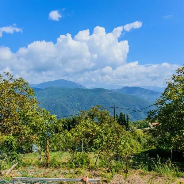 Σπίτι στο Τείχιο με θέα Βαρδούσια και Γκιώνα, ξενοδοχείο σε Tíkhion
