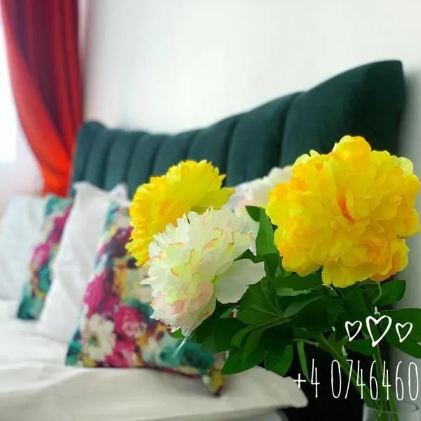 Red Hotel Accommodation, Hotel in Cluj-Napoca