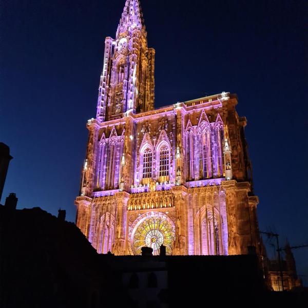 Face à la cathédrale, Страсбург