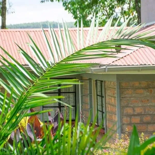 Zoe Homes 1br and 2br Cottage own compound -Kericho town near Green Square mall, hotel in Kericho